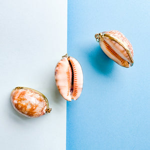 Large Cowrie Shell Gold Pendant