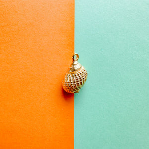 15mm Satin Gold Shell Charm