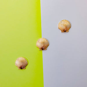 26mm Satin Gold Scallop Shell Charm