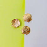 26mm Satin Gold Scallop Shell Charm