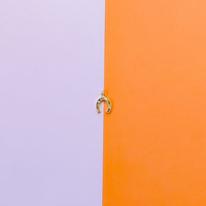 21mm Shiny Gold Pave Horseshoe Charm
