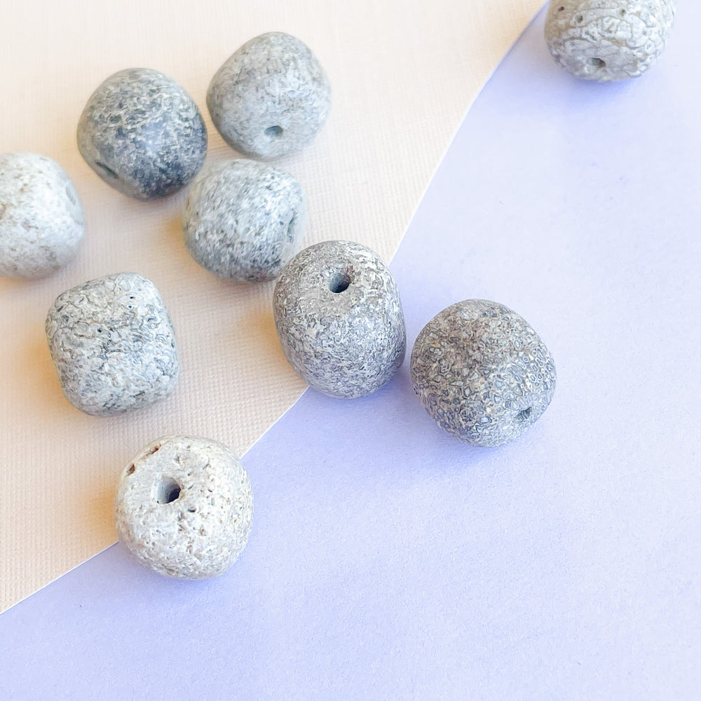 10mm Stegadon Fossil Beads - 10 Pack - Christine White Style