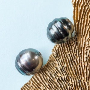 
                
                    Load image into Gallery viewer, 12-14mm Tahitian Large Hole Pearl - 2 Pack - Christine White Style
                
            