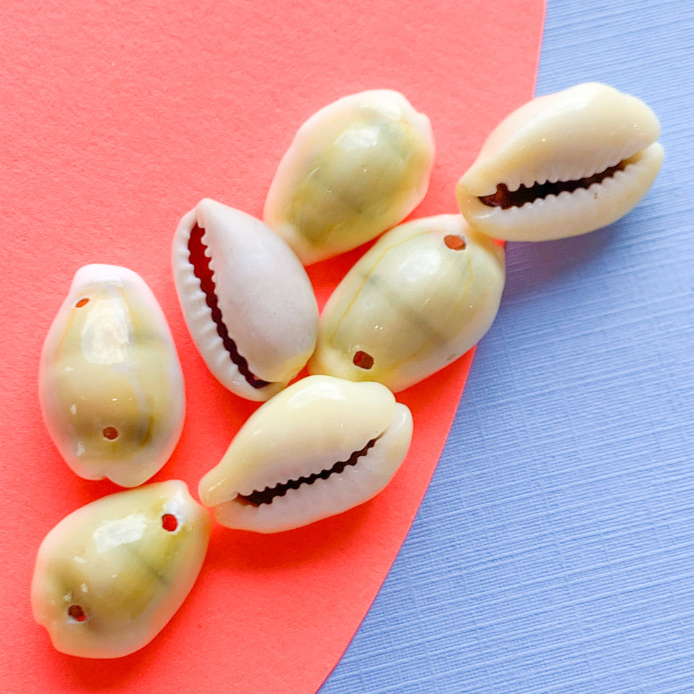 21mm Yellow Cowrie Shells - Pack of 10